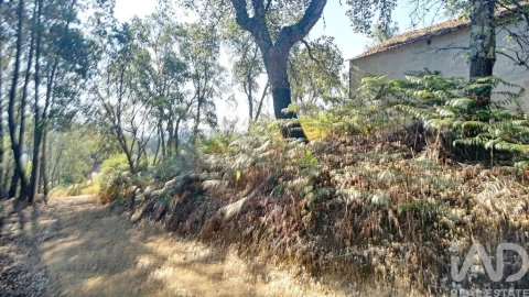 Moradia para Venda em Pedrogão Grande