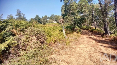 Moradia para Venda em Pedrogão Grande