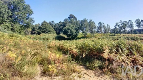 Moradia para Venda em Pedrogão Grande
