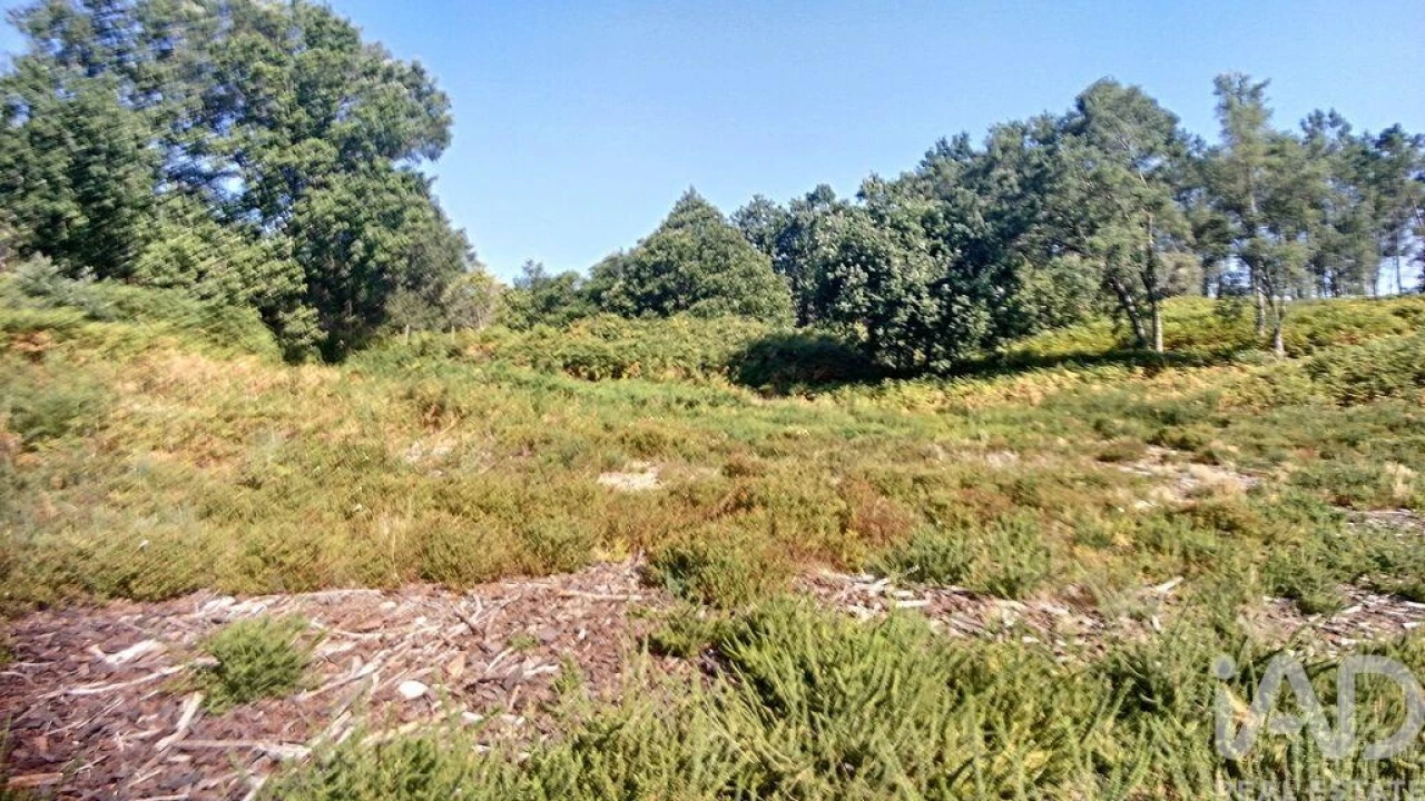 Moradia para Venda em Pedrogão Grande Foto 6