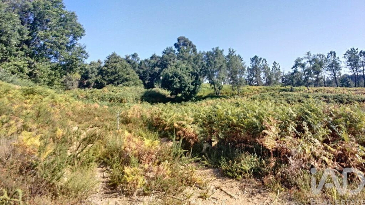 Moradia para Venda em Pedrogão Grande Foto 4
