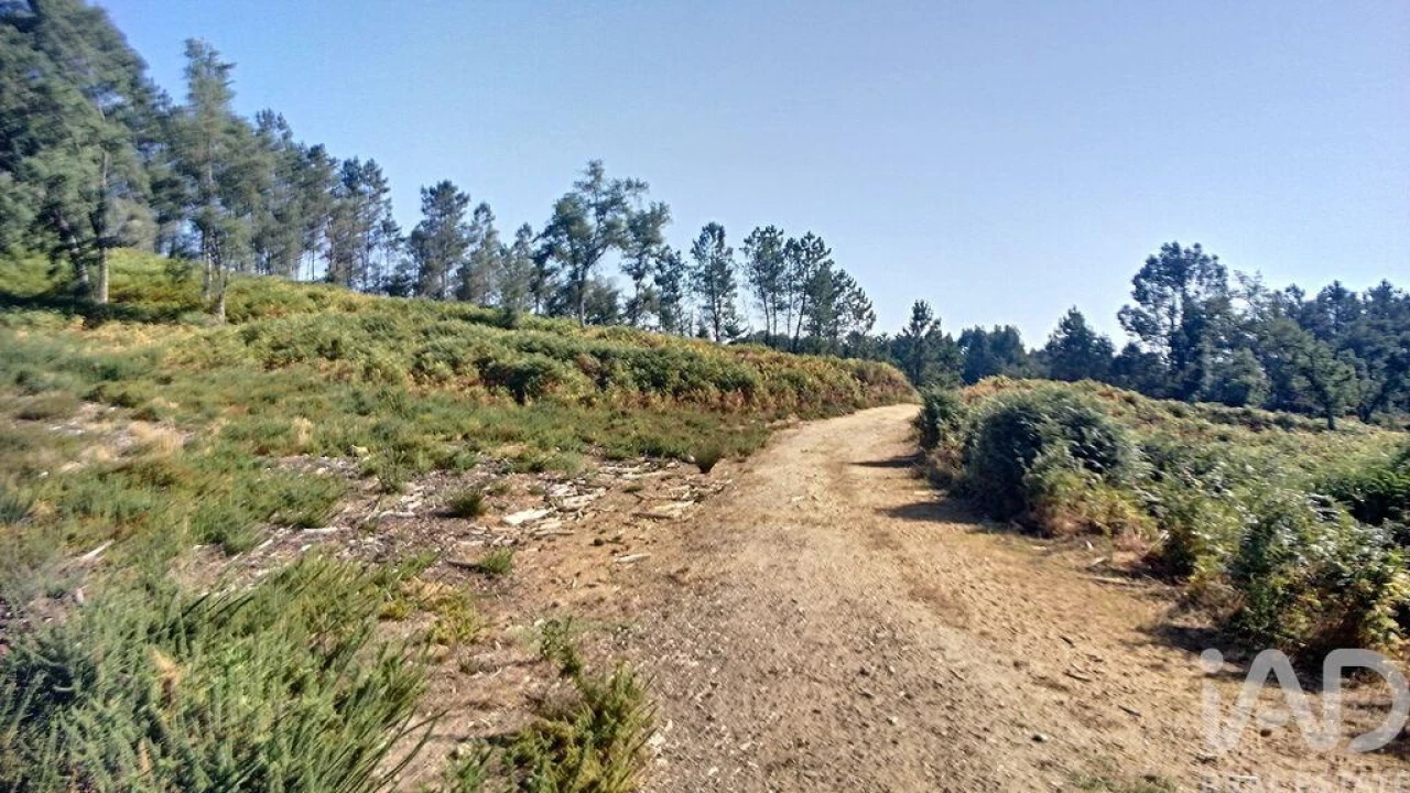 Moradia para Venda em Pedrogão Grande Foto 7