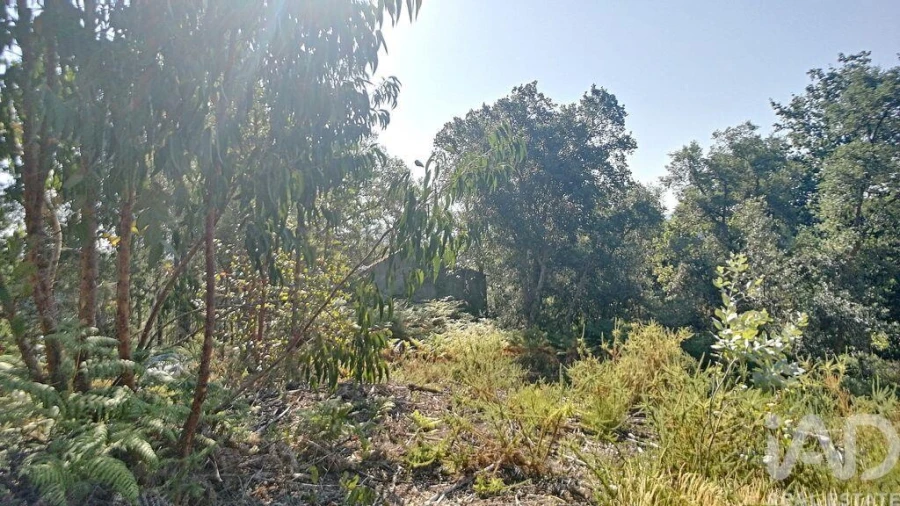 Moradia para Venda em Pedrogão Grande Foto 12