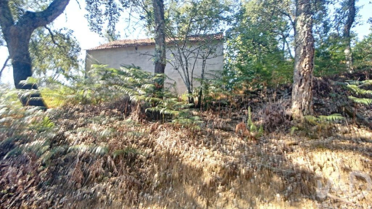 Moradia para Venda em Pedrogão Grande Foto 10