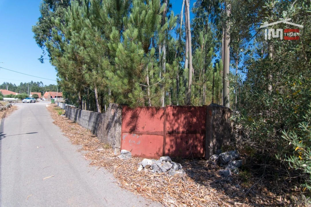 Terreno P/ Prédio para Venda em São Mamede Foto 1