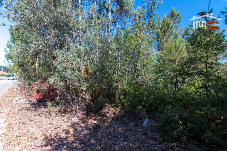Terreno P/ Prédio para Venda em São Mamede Foto 4