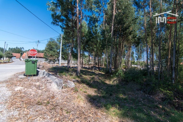 Terreno P/ Prédio para Venda em São Mamede Foto 6