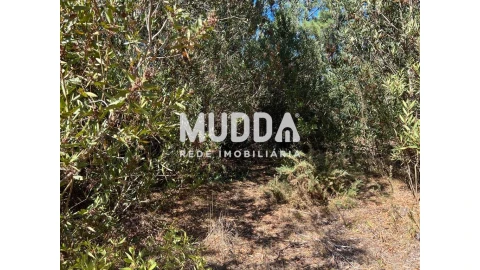 Terreno para Venda em Torreira