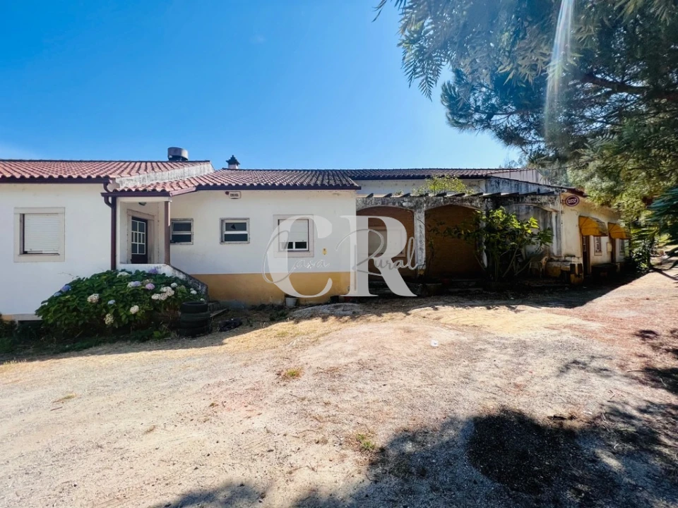 Negócio para Venda em Aguda Foto 2