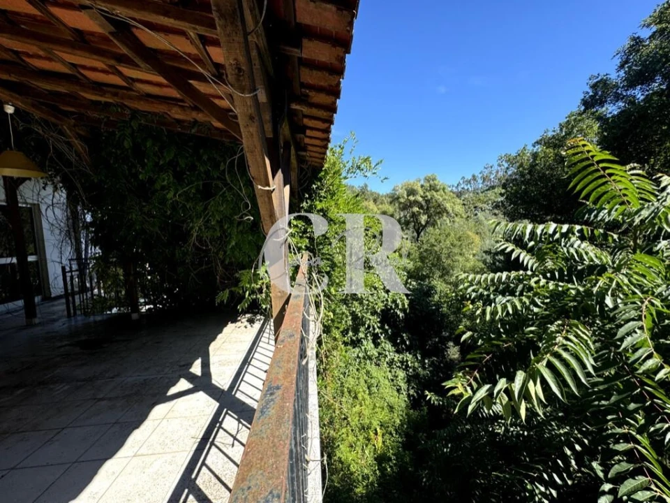 Negócio para Venda em Aguda Foto 11