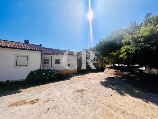 Negócio para Venda em Aguda