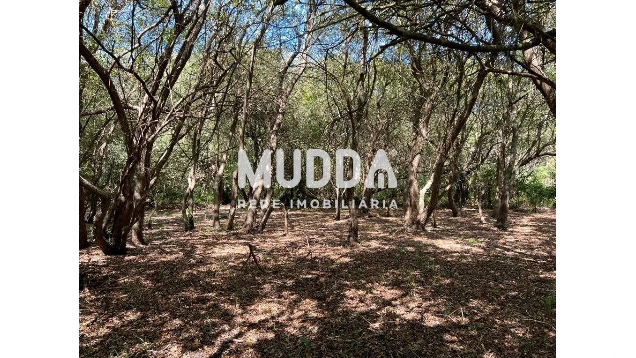 Terreno para Venda em Murtosa Foto 4