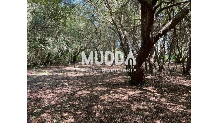 Terreno para Venda em Murtosa Foto 1