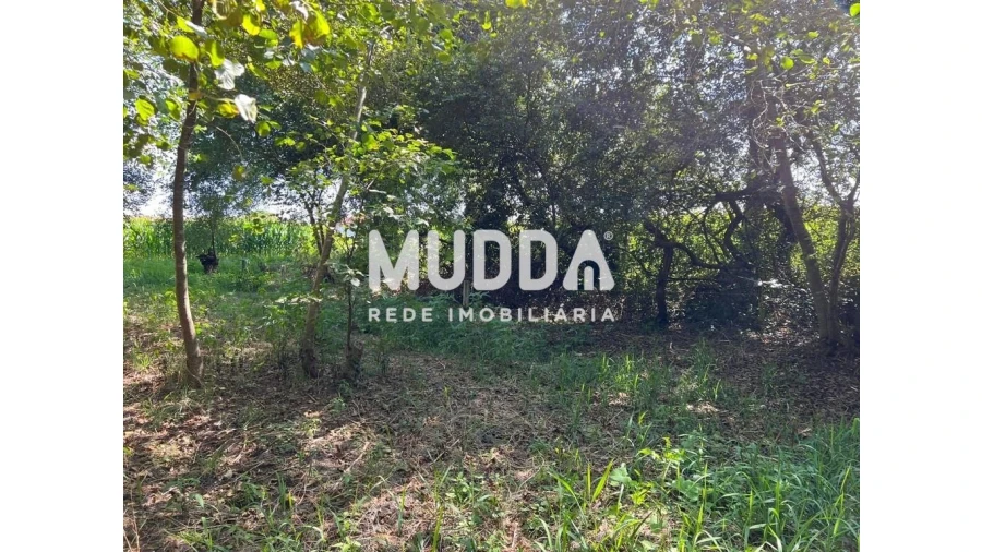 Terreno para Venda em Murtosa Foto 3