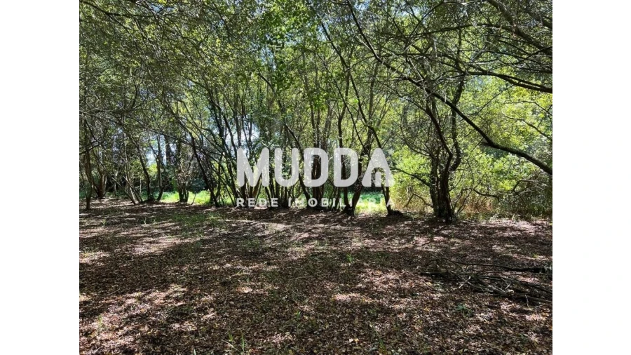 Terreno para Venda em Murtosa Foto 2