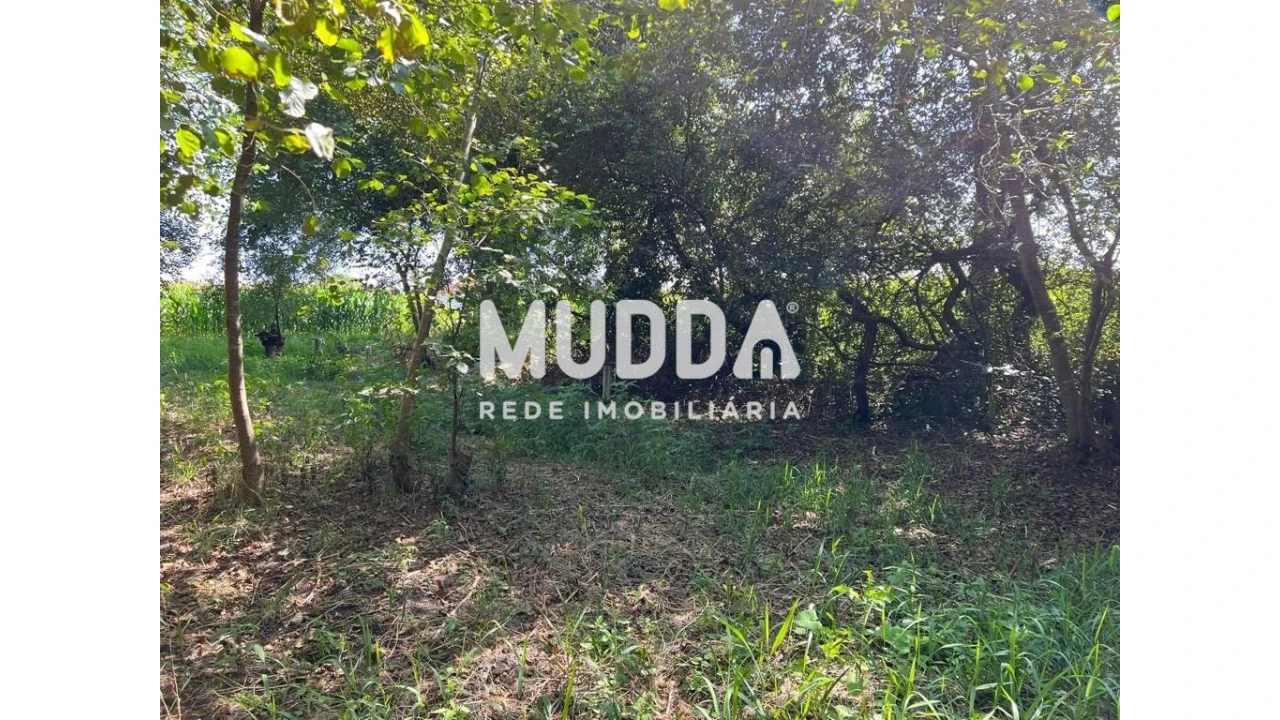 Terreno para Venda em Murtosa Foto 3