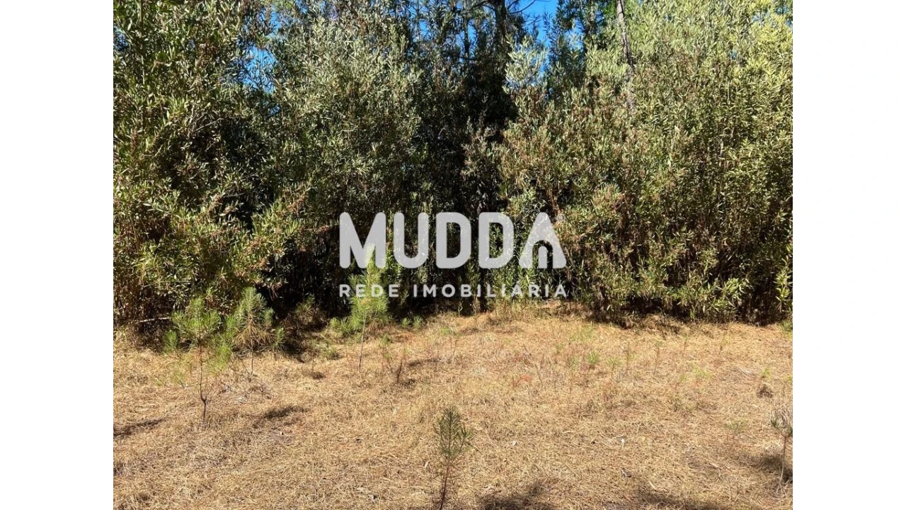 Terreno para Venda em Torreira Foto 1