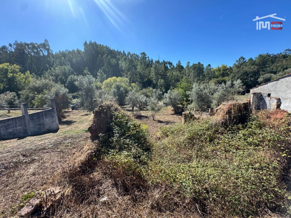 Terreno para Venda em Alvaiázere Foto 28