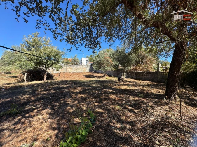 Terreno para Venda em Alvaiázere Foto 10