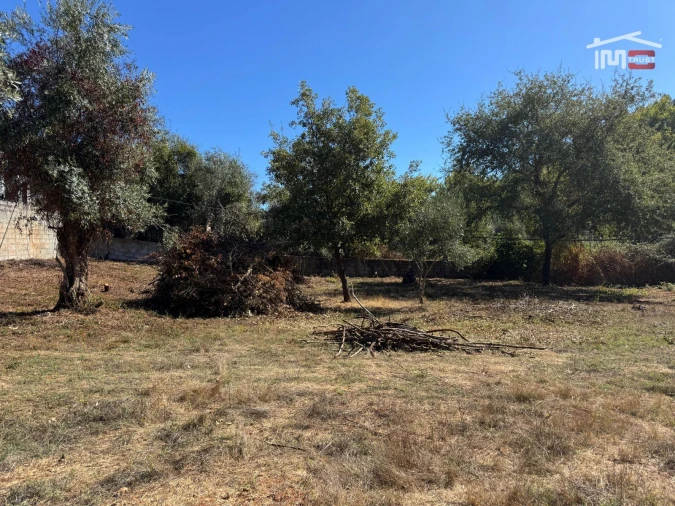 Terreno para Venda em Alvaiázere Foto 20