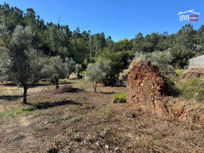 Terreno para Venda em Alvaiázere Foto 25
