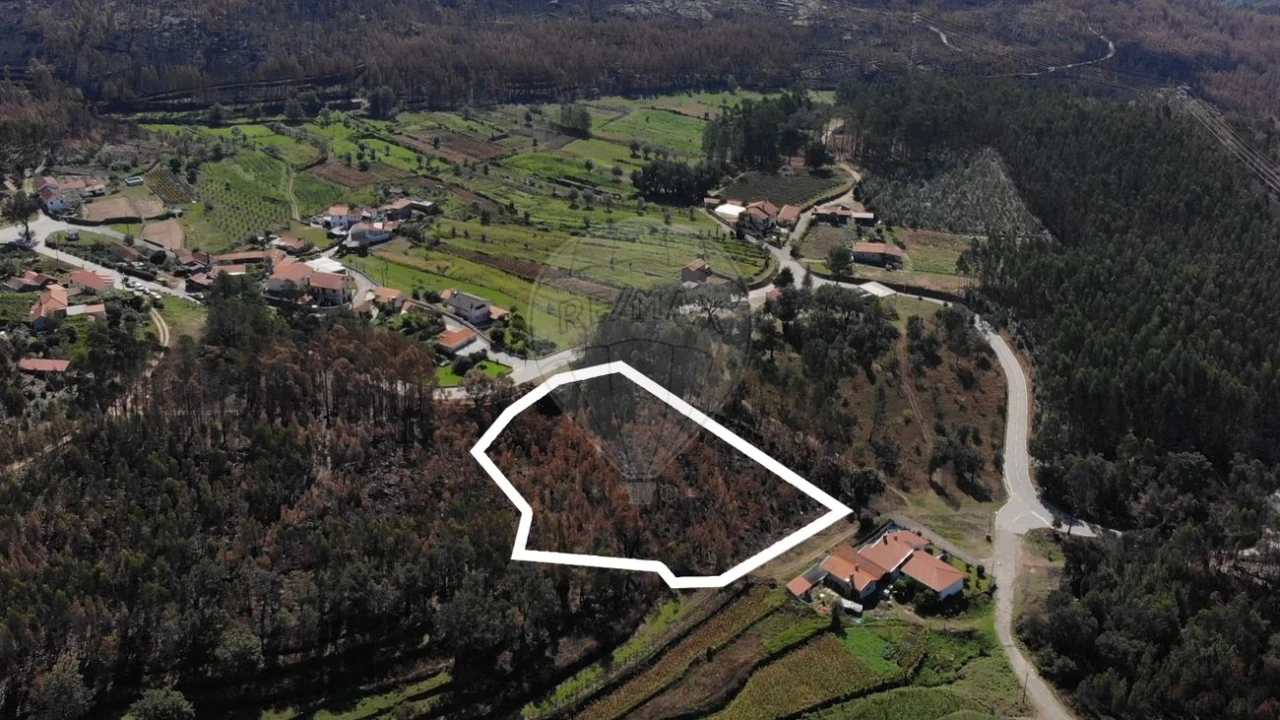 Terreno para Venda em Cedrim e Paradela Foto 3