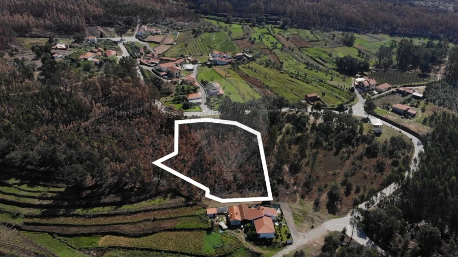Terreno para Venda em Cedrim e Paradela Foto 4