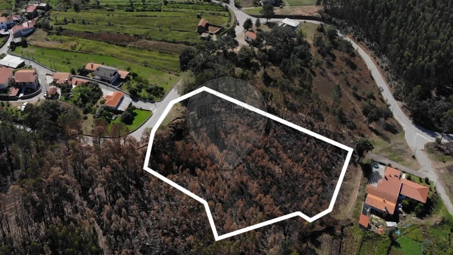 Terreno para Venda em Cedrim e Paradela Foto 5