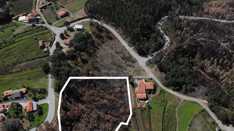 Terreno para Venda em Cedrim e Paradela Foto 2