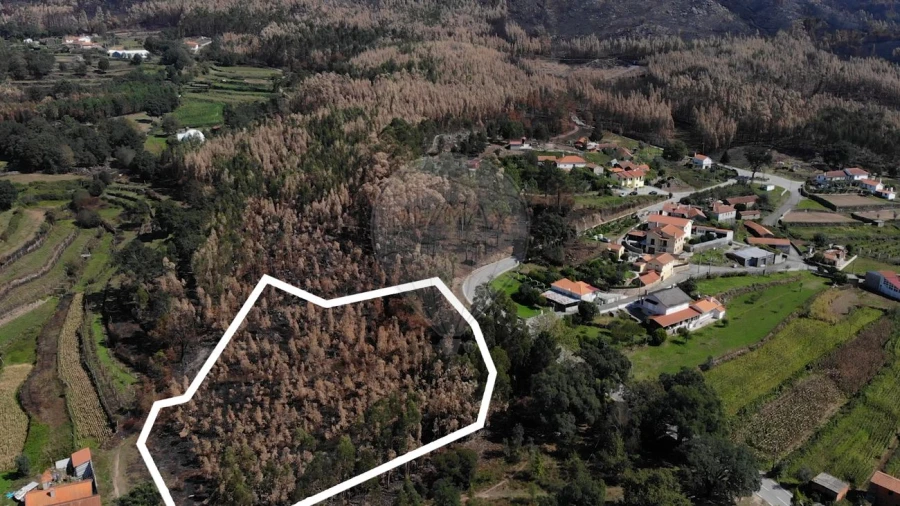 Terreno para Venda em Cedrim e Paradela Foto 6