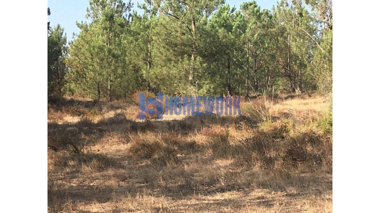 Terreno para Venda em Quinta do Anjo Foto 7