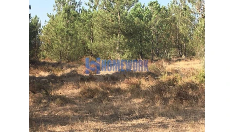 Terreno para Venda em Quinta do Anjo