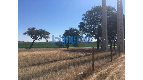 Terreno para Venda em Quinta do Anjo