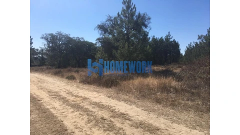 Terreno para Venda em Quinta do Anjo