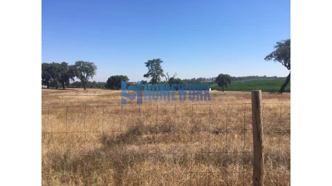 Terreno para Venda em Quinta do Anjo
