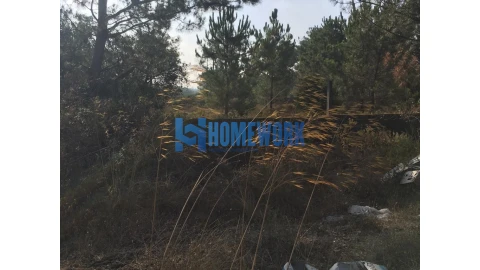 Terreno para Venda em Quinta do Anjo