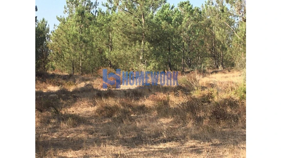 Terreno para Venda em Quinta do Anjo Foto 7