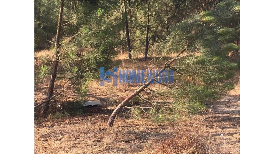 Terreno para Venda em Quinta do Anjo Foto 6
