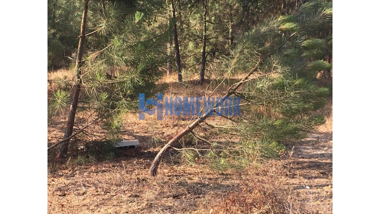 Terreno para Venda em Quinta do Anjo Foto 6