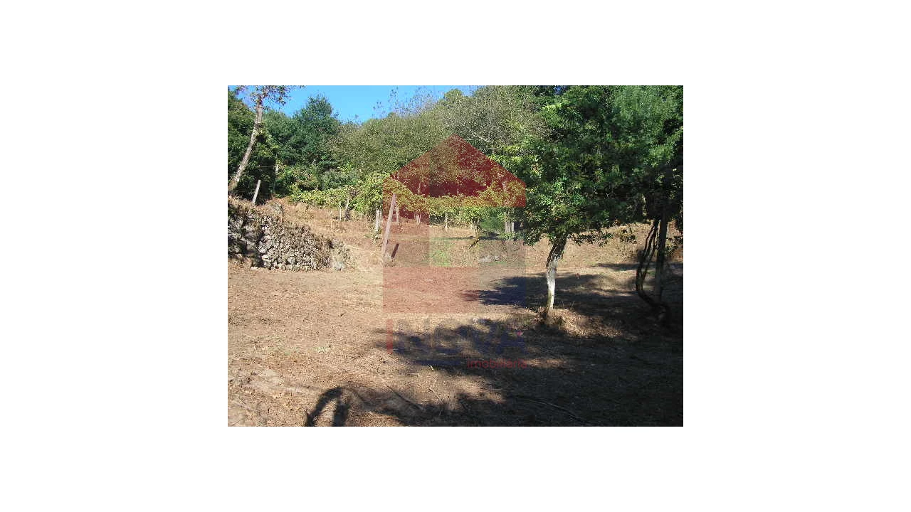 Terreno para Venda em Valbom (São Pedro), Passô e Valbom (São Martinho) Foto 9