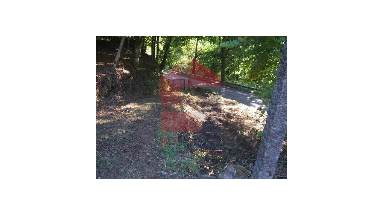 Terreno para Venda em Valbom (São Pedro), Passô e Valbom (São Martinho) Foto 14