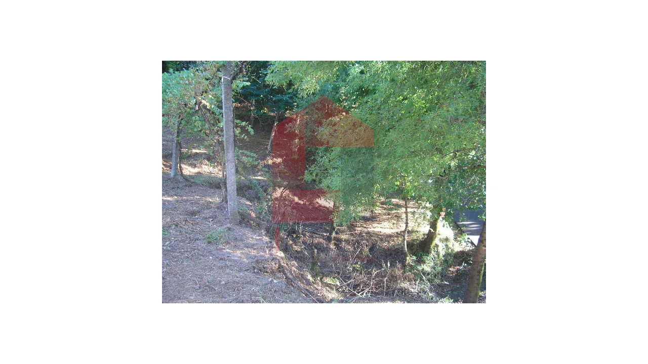 Terreno para Venda em Valbom (São Pedro), Passô e Valbom (São Martinho) Foto 13