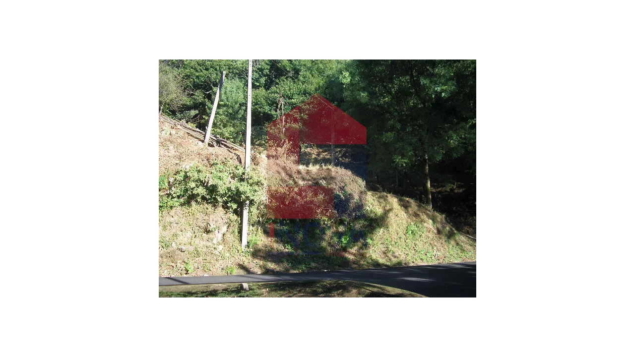 Terreno para Venda em Valbom (São Pedro), Passô e Valbom (São Martinho) Foto 16