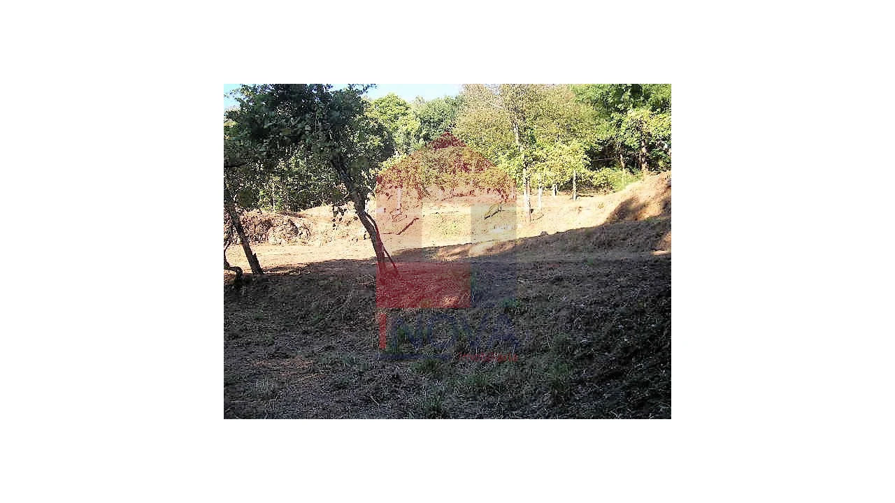 Terreno para Venda em Valbom (São Pedro), Passô e Valbom (São Martinho) Foto 3