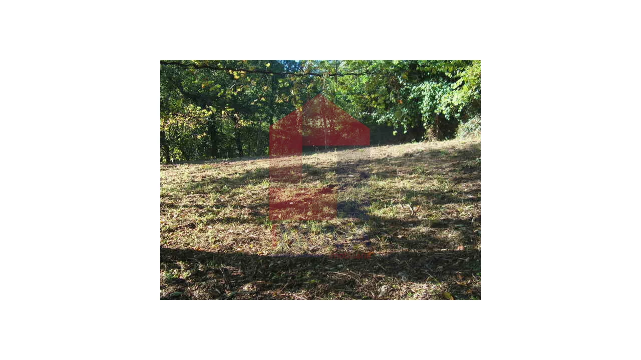 Terreno para Venda em Valbom (São Pedro), Passô e Valbom (São Martinho) Foto 8