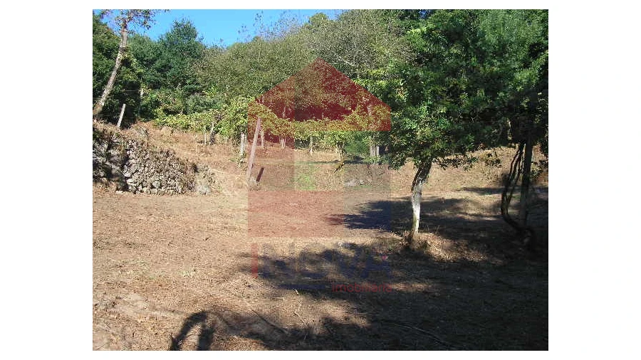 Terreno para Venda em Valbom (São Pedro), Passô e Valbom (São Martinho) Foto 9
