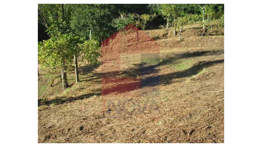 Terreno para Venda em Valbom (São Pedro), Passô e Valbom (São Martinho) Foto 4