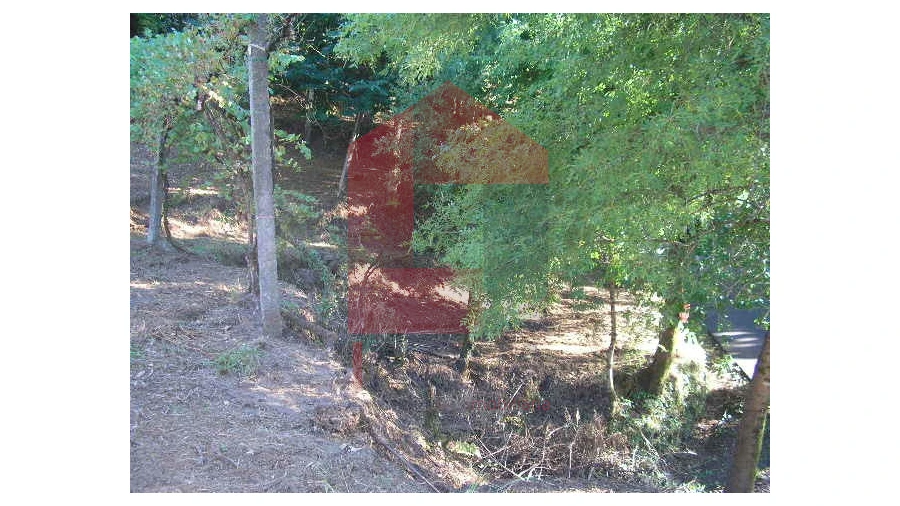 Terreno para Venda em Valbom (São Pedro), Passô e Valbom (São Martinho) Foto 13