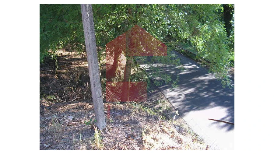 Terreno para Venda em Valbom (São Pedro), Passô e Valbom (São Martinho) Foto 11
