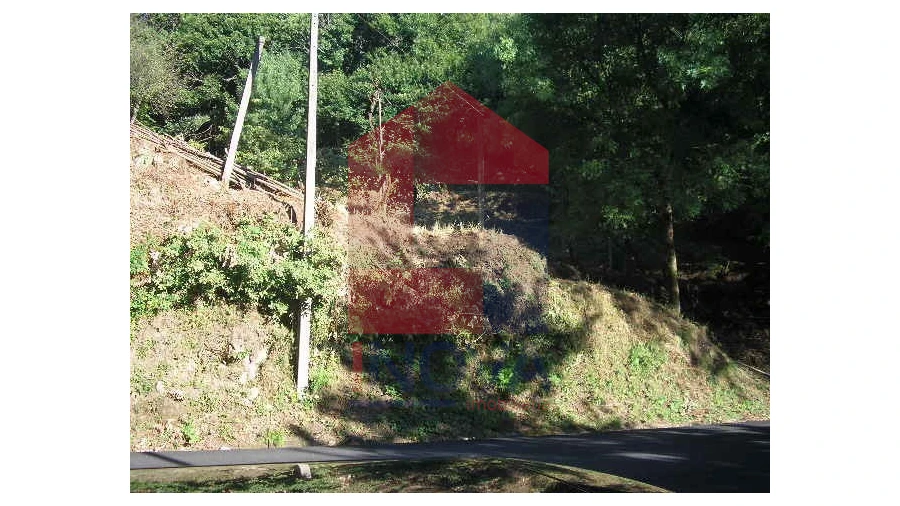 Terreno para Venda em Valbom (São Pedro), Passô e Valbom (São Martinho) Foto 16